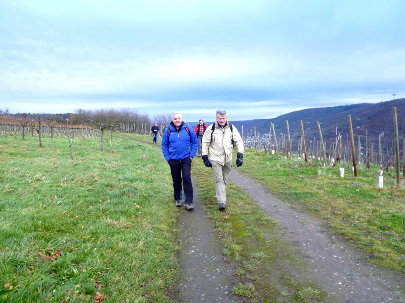 RheinBurgenWeg 09. Etappe Winningen - Bassenheim