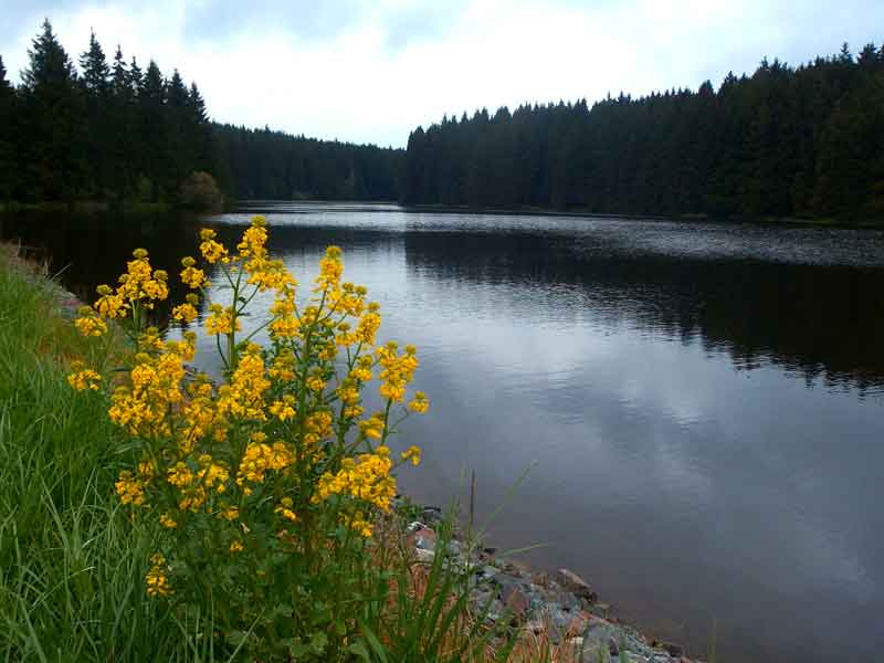 Oberharzer Wasserregal auf dem Harzer Hexenstieg