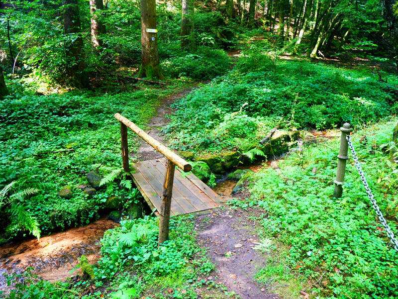 Pfälzer Waldpfad 3. Etappe Johanniskreuz - Heltersberg