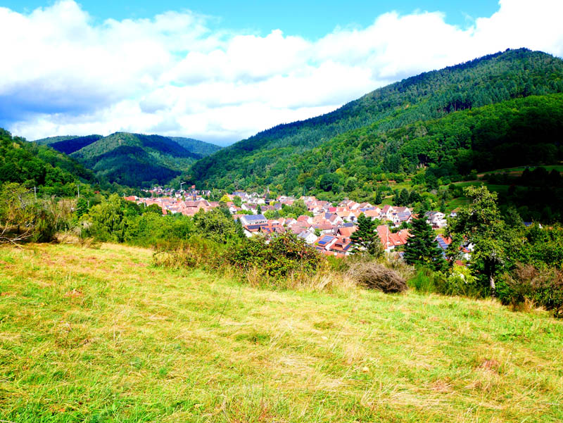 Pfälzer Weinsteig 8. Etappe Dernbach - Annweiler