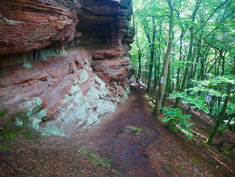 Pfälzer Waldpfad 7. Etappe Hauenstein - Dahn