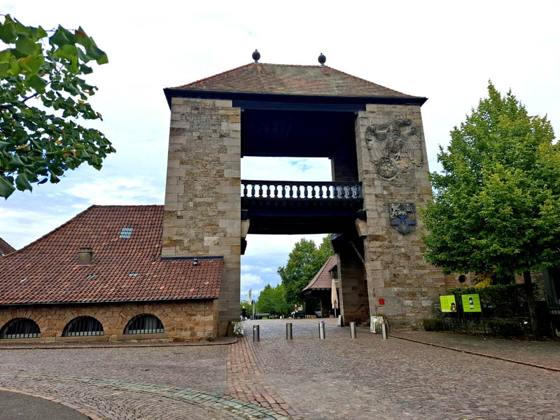 Pfälzer Waldpfad 9. Etappe Erlenbach - Schweigen