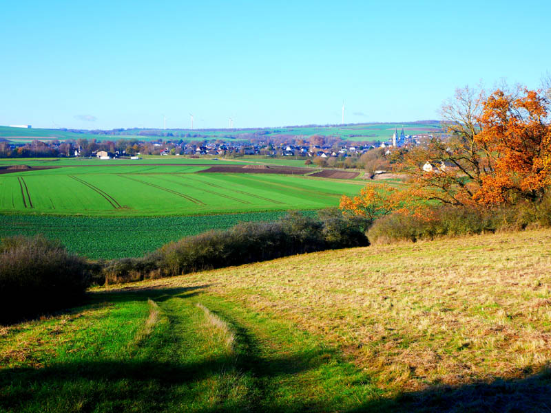 Traumpfädchen Paradiesweg Polch