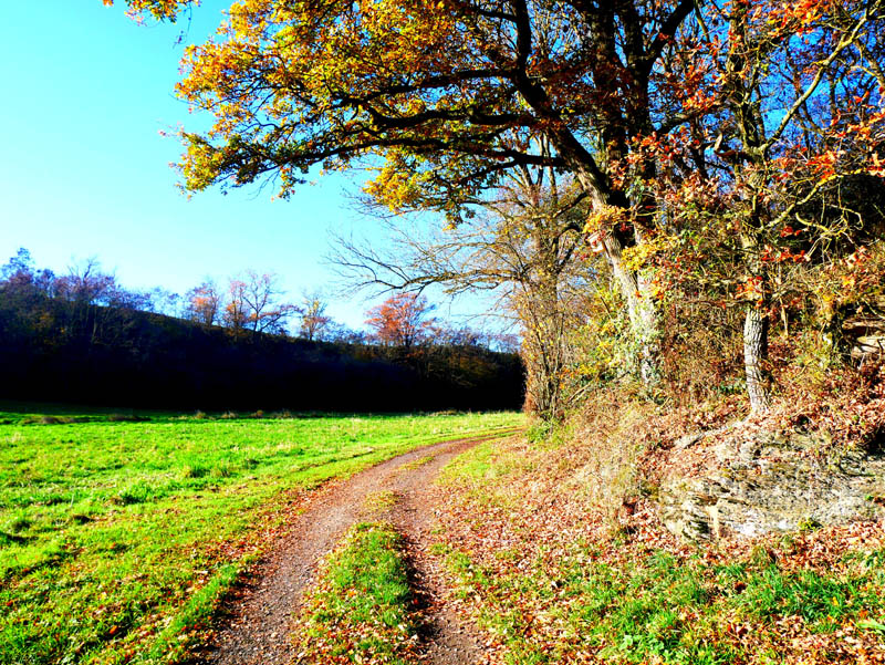 Traumpfädchen Paradiesweg Polch