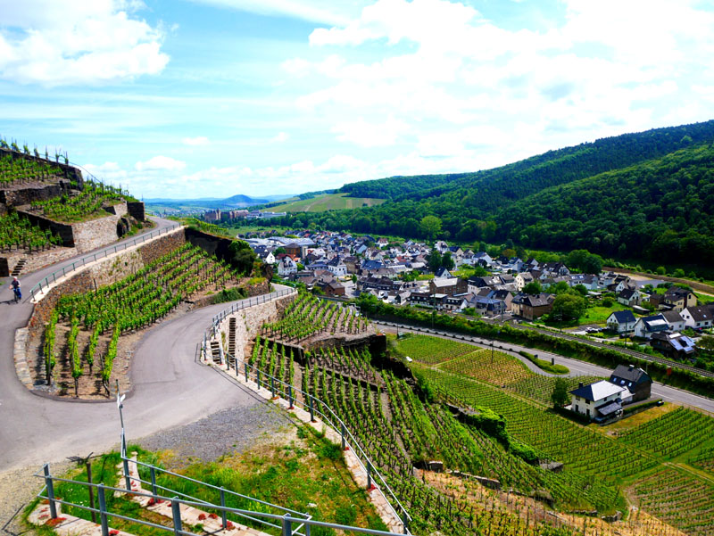 AhrSchleife - WeinBergBlicke bei Ahrweiler